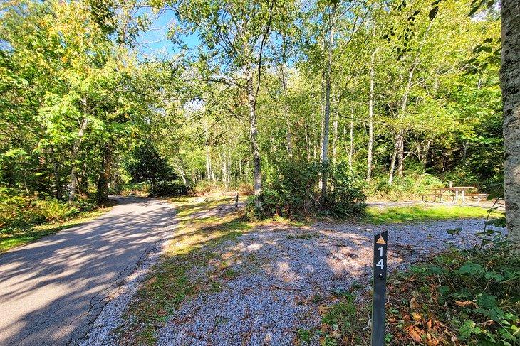 Emplacement de camping dans le parc d'état de Larrabee