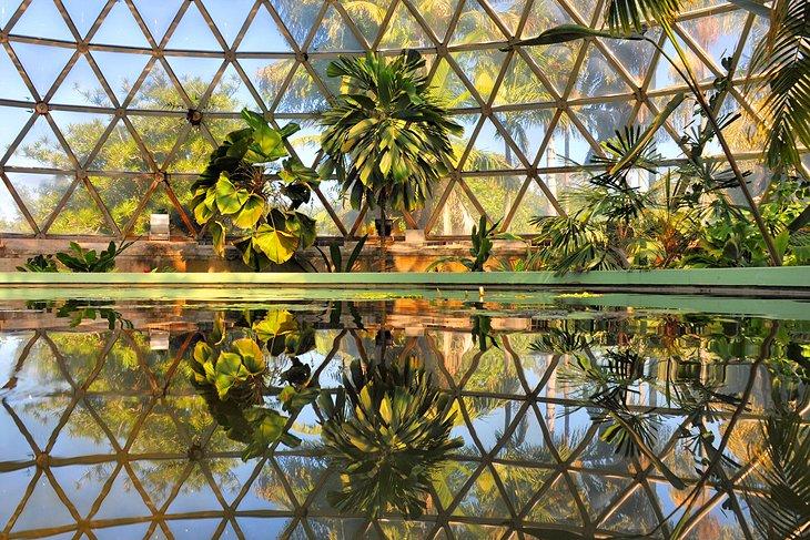 Jardines Botánicos de Brisbane en Mount Coot-tha