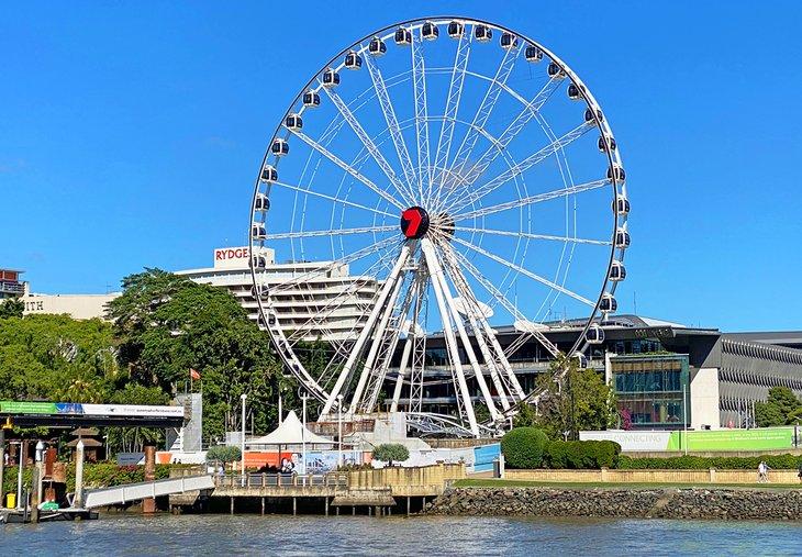 Rueda de Brisbane