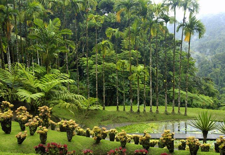 Jardín Botánico de Balata