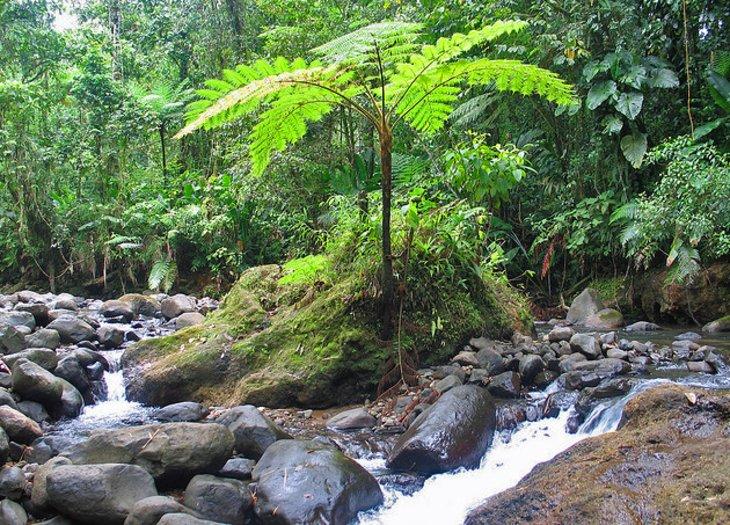 Ruta de la Trace a Morne Rouge