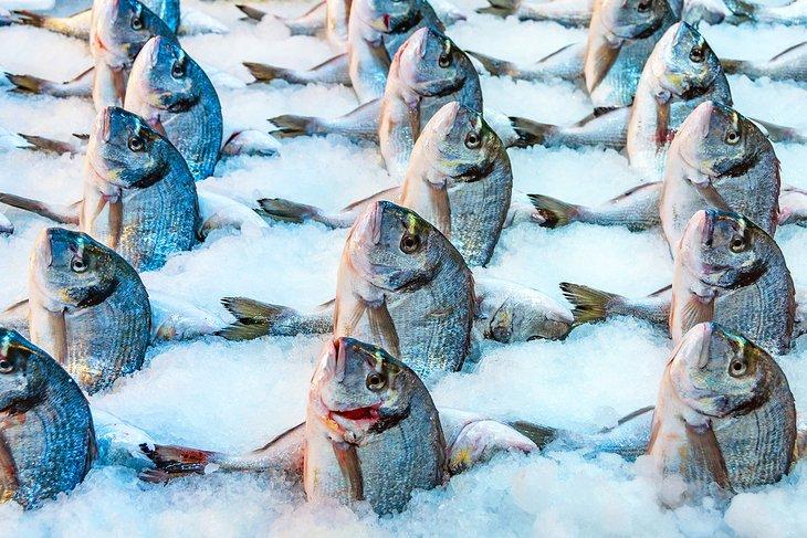 Fisch, der im Varvakios Agora-Markt verkauft wird