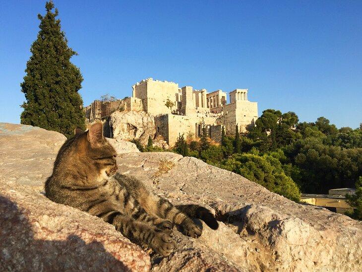 Blick auf die Akropolis vom Areopag