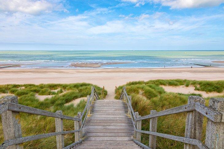 Herbes marines et dunes à Blankenberge