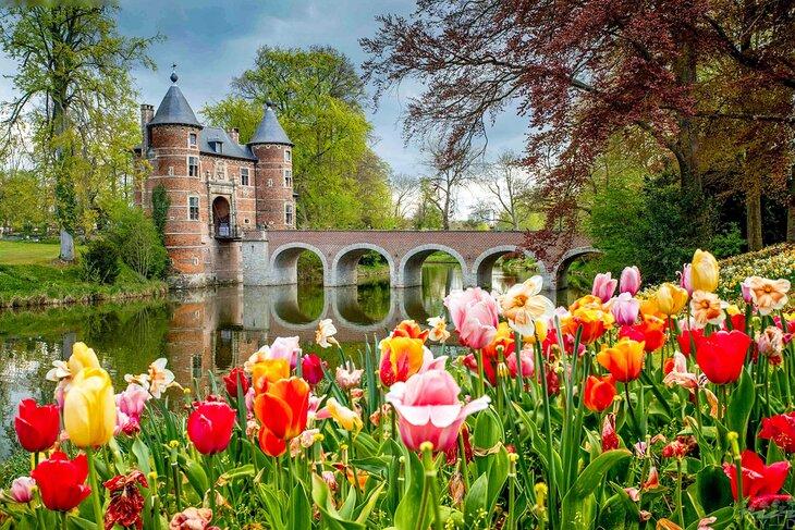 Des tulipes aux château de Groot-Bijgaarden