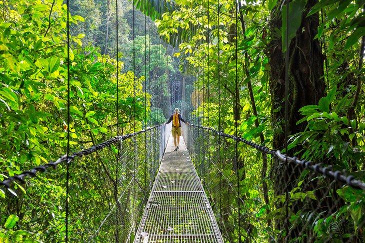Wandern im costa-ricanischen Dschungel