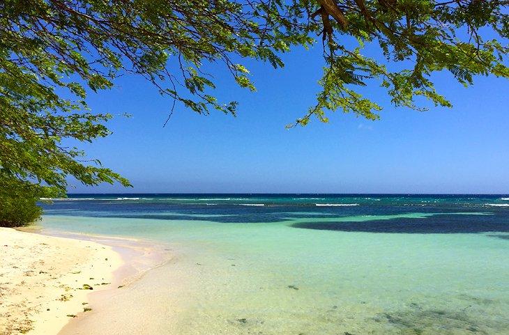 Playa Savaneta
