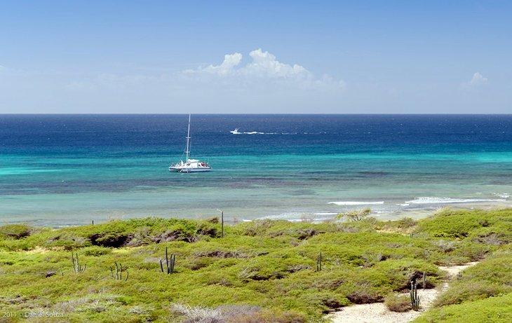 Playa Arashi