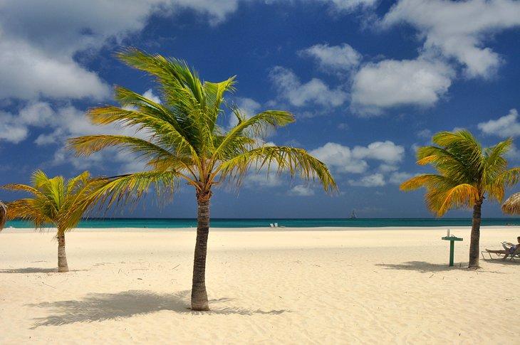 Playa Manchebo