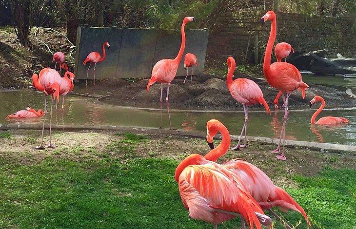 Zoológico y Acuario de Columbus