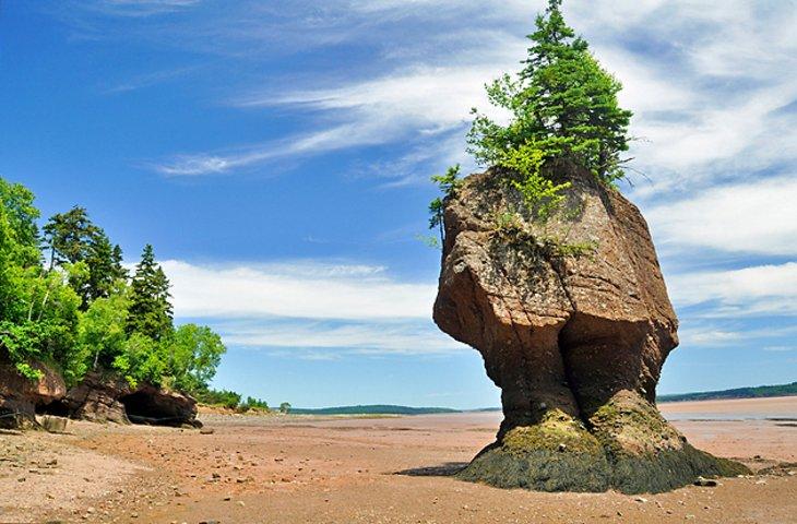Rocas Hopewell