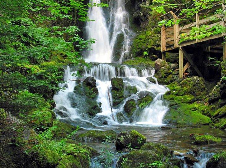 Parque Nacional Fundy