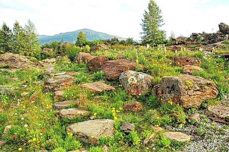 Jardin Botanique Arctique-Alpin