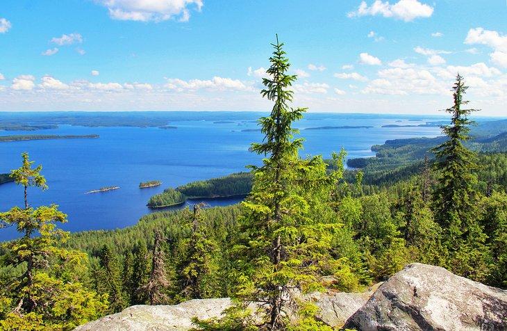 Ukko-Koli-Aussichtspunkt im Koli Nationalpark