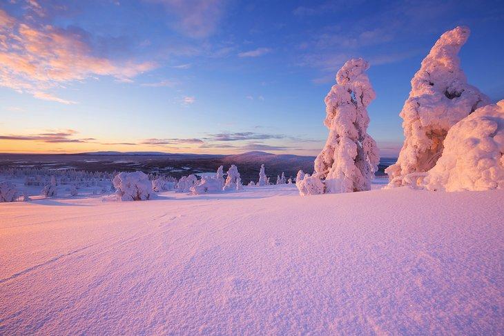 Eingefrorene Bäume bei Sonnenuntergang in Levi, Finnland