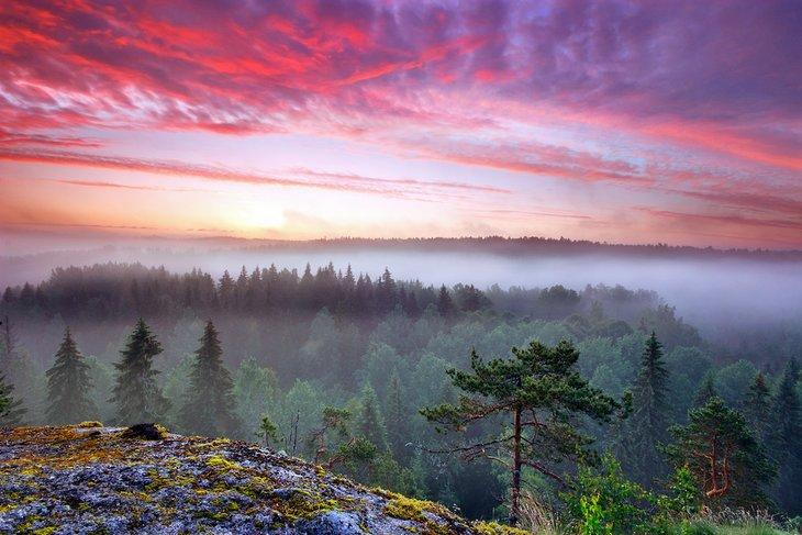 Sonnenaufgang über dem Nuuksio Nationalpark