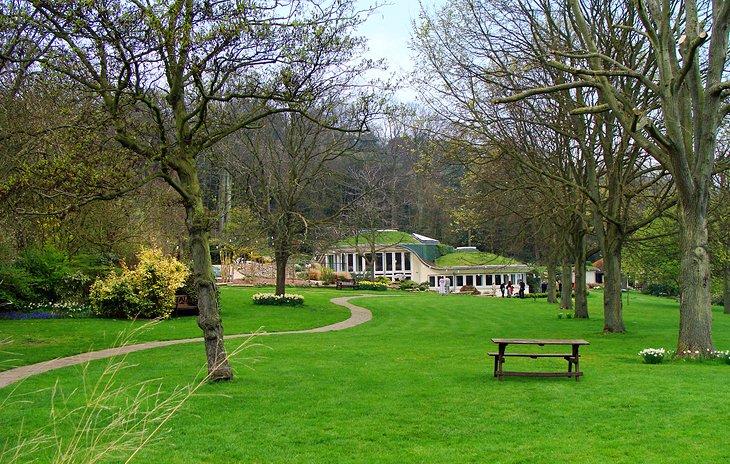 Das Pines Garden Tea Room & Museum