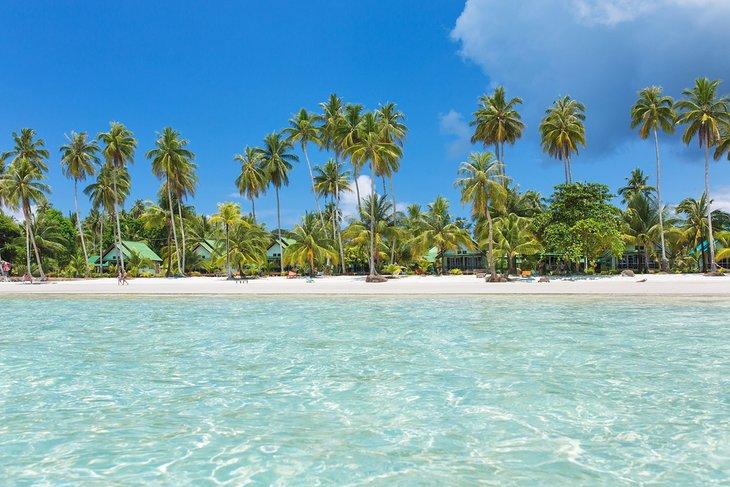 Plage bordée de palmiers à Koh Kood