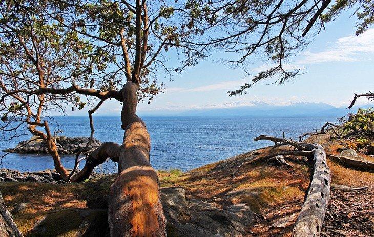 Coast Trail in der Nähe von Aylard Farm