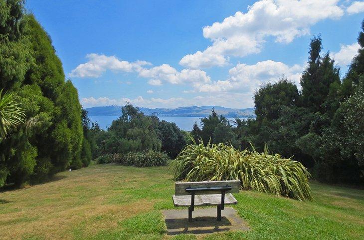 Vue du lac Taupo depuis la réserve botanique de Waipahihi