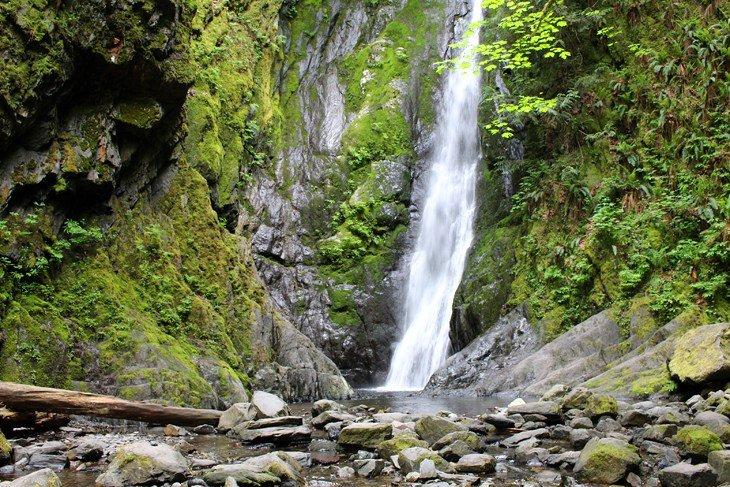 Cataratas del Niágara en el Parque Provincial Goldstream
