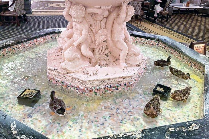 Patos Peabody
