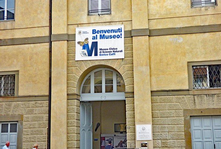 Museo Civico de Ciencias Naturales | <a rel="nofollow noopener noreferrer" target="_blank" class="cc16_b" href="https://www.flickr.com/photos/ell-r-brown/">Elliott Brown</a> / foto modificada