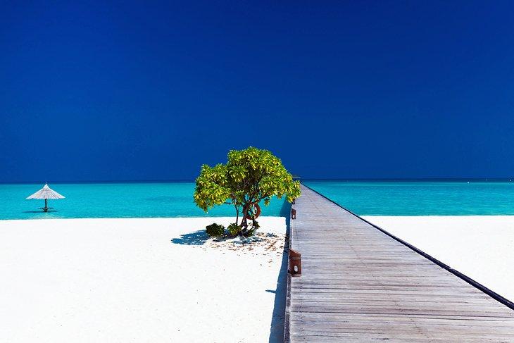 Un quai s'étendant dans les eaux peu profondes aux Maldives