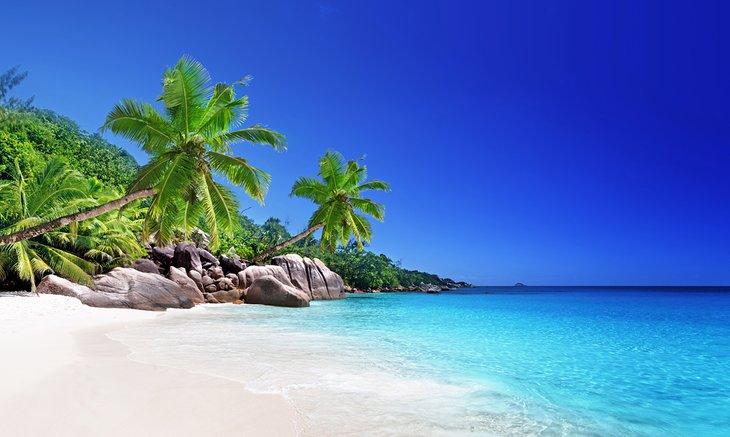 Île Praslin, Les Seychelles