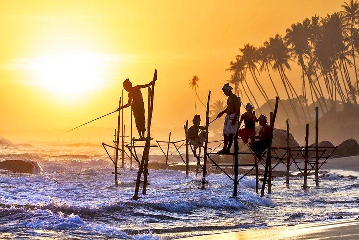 Pêcheur sur échasse au Sri Lanka