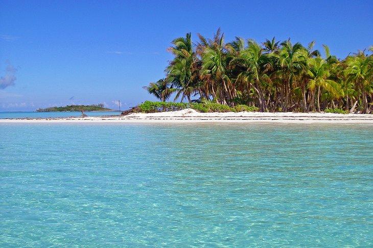 Île palmée dans les Abacos