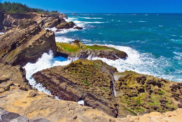 Parque Estatal Cape Arago, cerca de Coos Bay