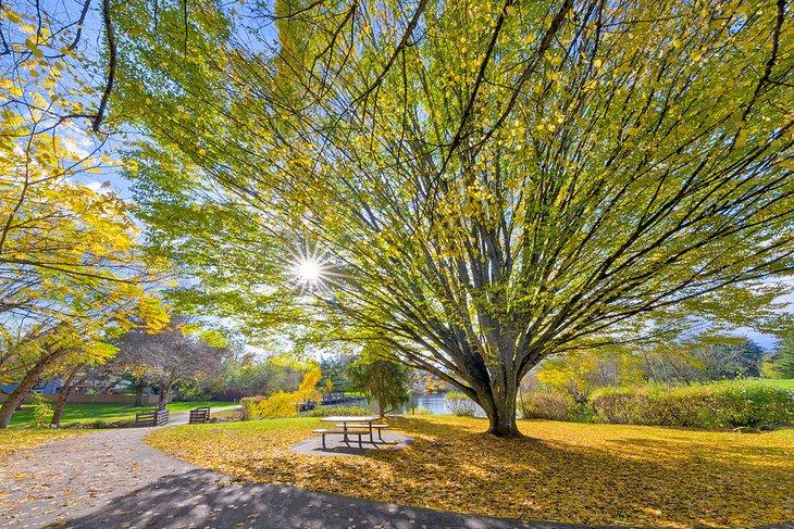 Parque Commonwealth Lake en Beaverton