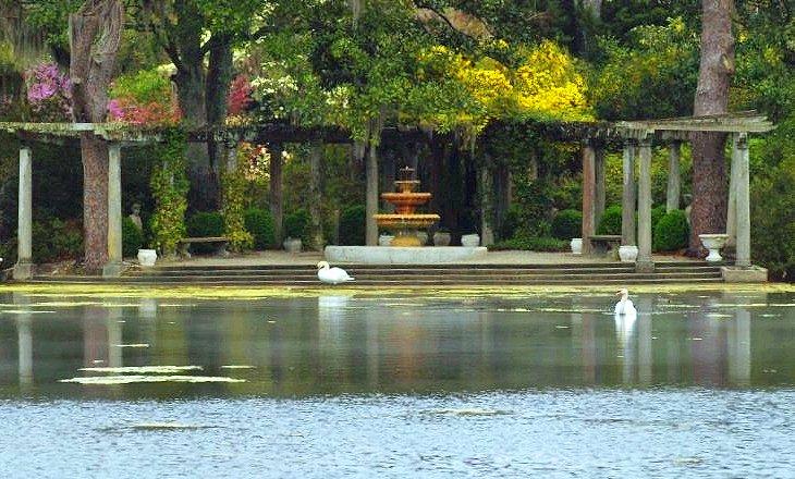 Jardines Airlie