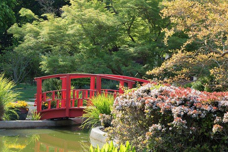 Puente peatonal en el Arboreto del Condado de New Hanover
