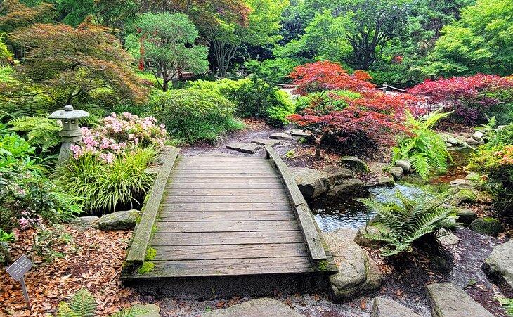 Un paseo en el Arboreto de New Hanover