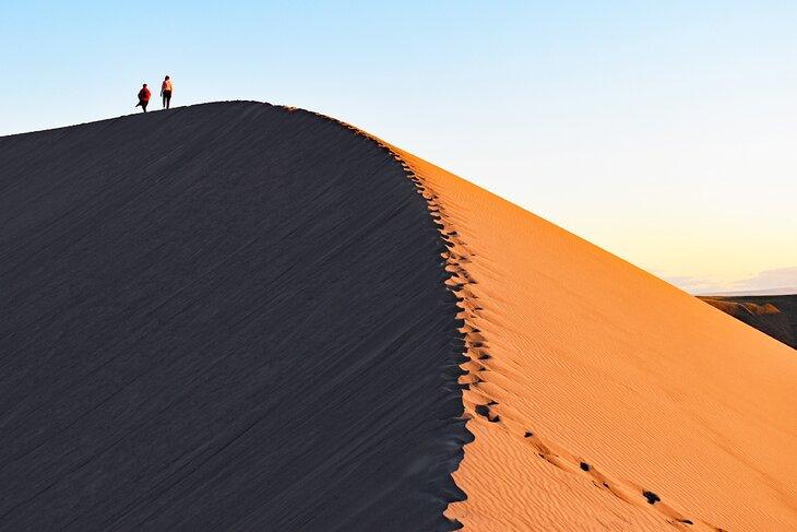 Randonnée Bruneau Dunes