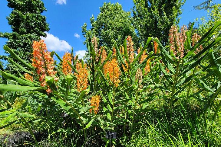 Jardín Botánico de Bellevue