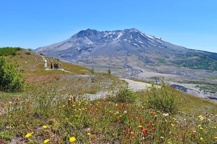 Monte St. Helens