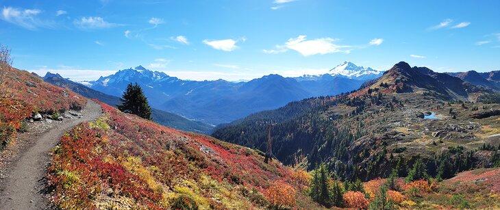 Sendero Yellow Aster Butte en Mount Baker