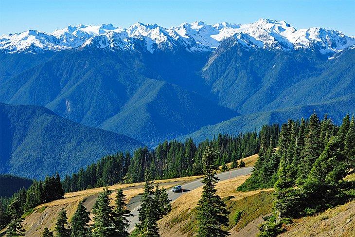 Hurricane Ridge