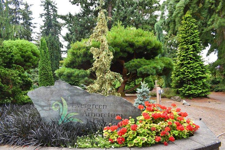 Arboreto de Everett