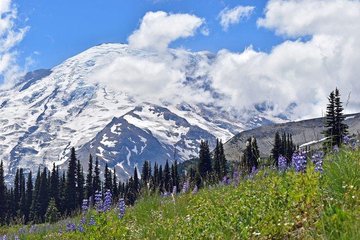 Parque Nacional Monte Rainier