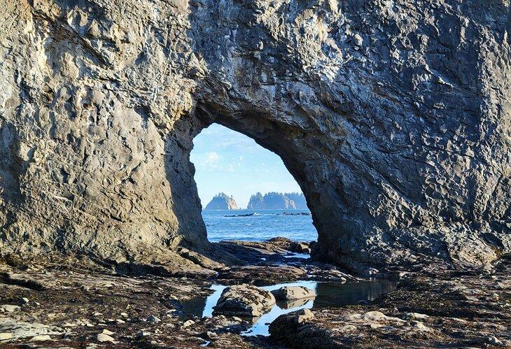 Playa Rialto en el Parque Nacional Olímpico