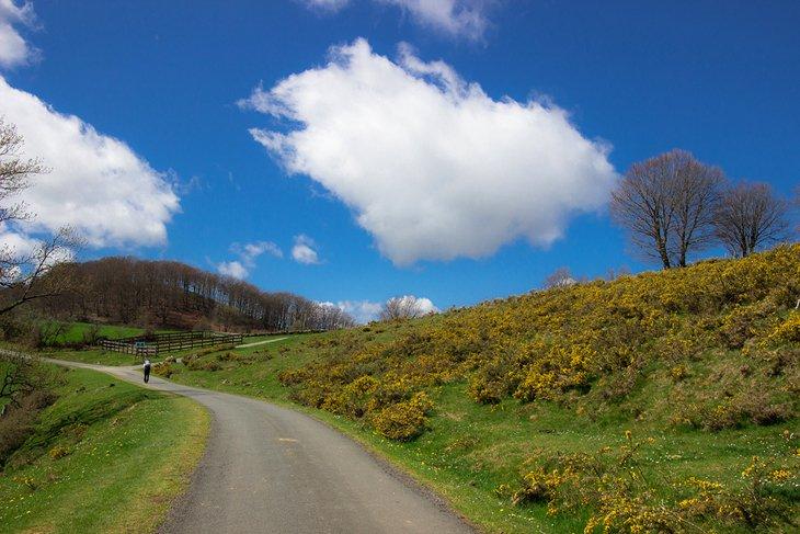 Ruta Napoléon en el Camino de Santiago