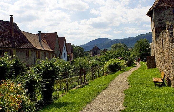 Caminos entre colinas rodantes hacia pintorescos pueblos de Alsacia