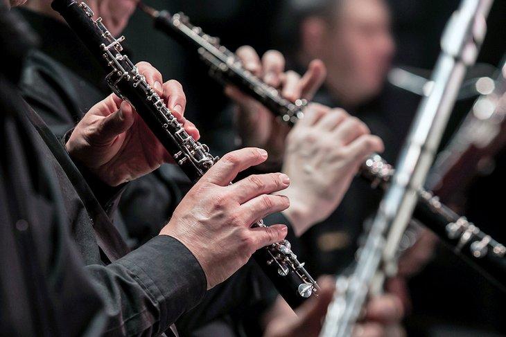 Músicos en una orquesta