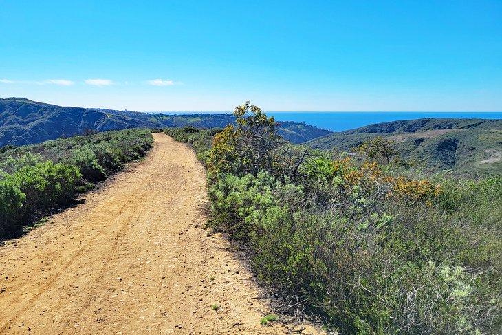 Parque Laguna Coast Wilderness