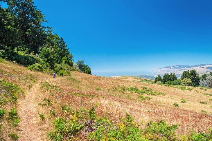 Sendero Pomo Canyon
