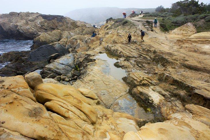 Sendero Sea Lion Point en Point Lobos
